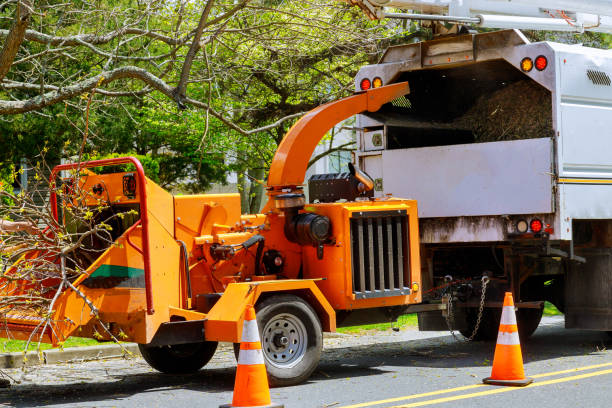 Reliable West Valley City, UT  Tree Services Solutions